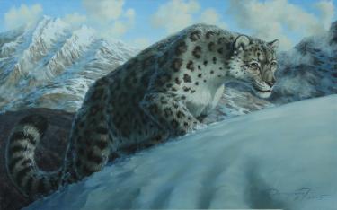 барс Данчурова Т.