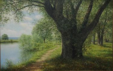 Берег Тоймы Хабибуллин Э.И.