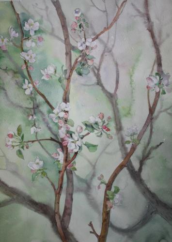 Цветущая яблоня Григорьева Л.В.