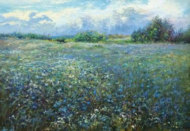 Цветущие поля Ширшов В.В.