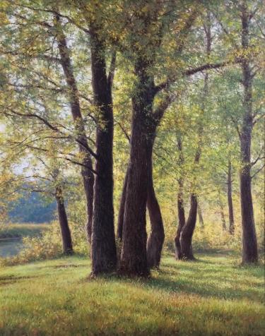 Дубки на берегу Хабибуллин Э.И.