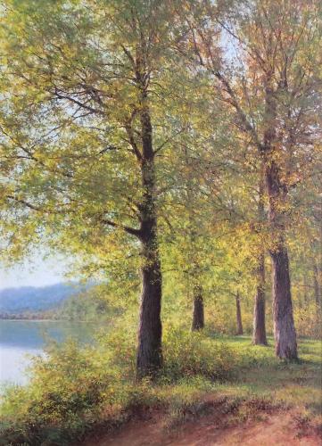 Дубки на берегу Хабибуллин Э.И.