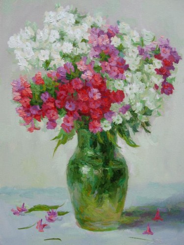 Флоксы Салатов А.Ф.