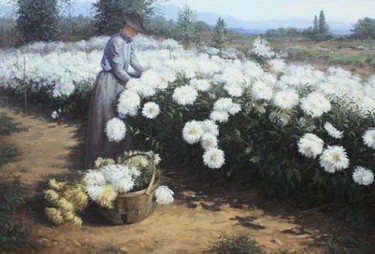 Хризантемы Залялиев И.И.