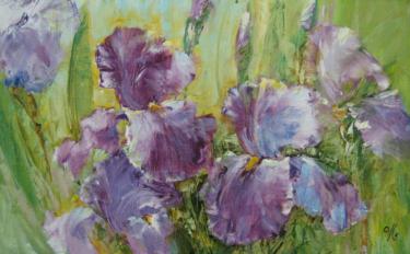 Ирисы Чипенко И.Л.