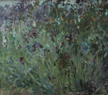 Ирисы Иншаков А.Ф.