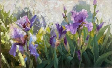 Ирисы Николаев Ю.В.