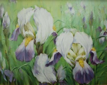 Ирисы Жалдак И.В.