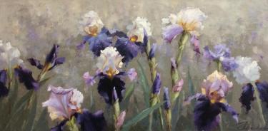 Ирисы Николаев Ю.В.