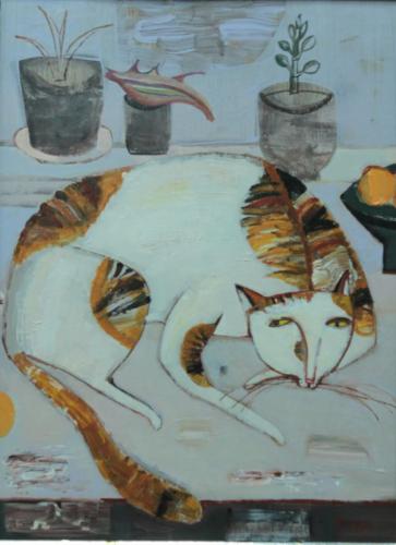 кошка Горшунова Т.А.