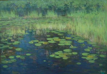 Кувшинки Хузин Р.Ф.