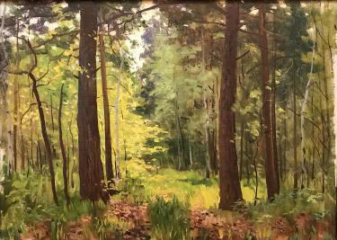 Лес Неустроев С.В.