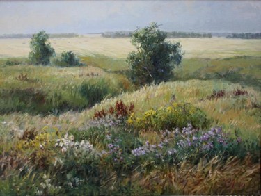 Летние просторы Лукиянов В.А.