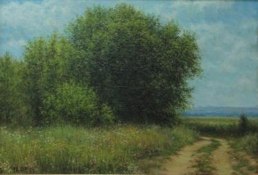 летний день Хабибуллин Э.И.