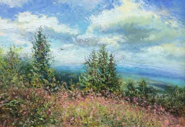 Летний день Ширшов В.В.