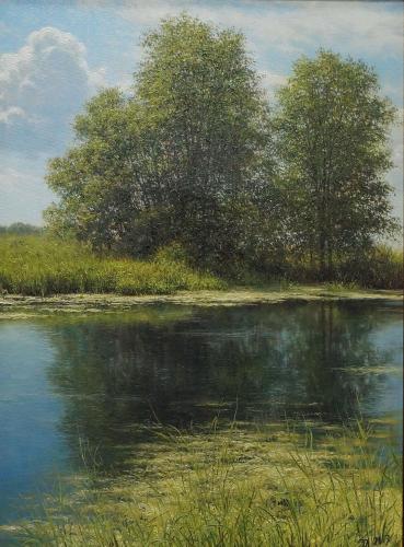 Летний пейзаж с озером Хабибуллин Э.И.