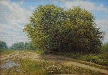 Летний полдень Хабибуллин Э.И.