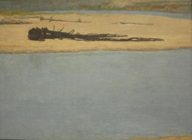 Лежащие деревья Полковниченко А.