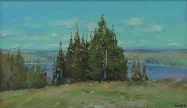 михайловский пруд Петров Н.С.