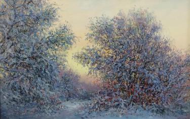 Морозное утро Ширшов В.В.