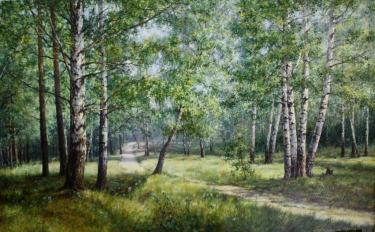 Окрестности Красногорска Чернышов М.В.