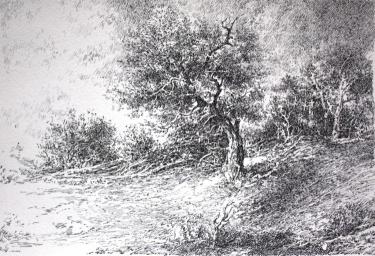 Опушка леса Поляков С.В.