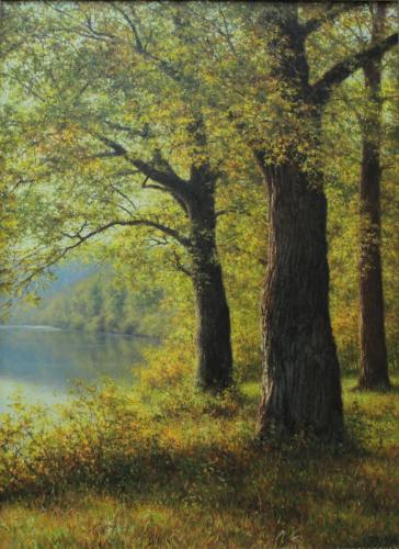 Осень. Дубки на берегу озера Хабибуллин Э.И.