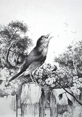 Песня Поляков С.В.