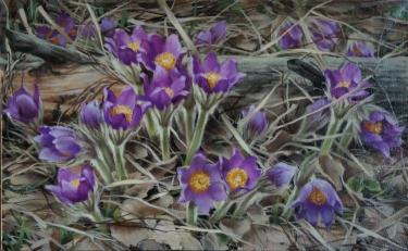 Подснежники Городетская И.