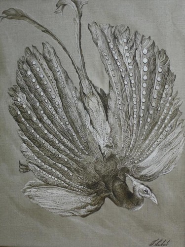 Полёт Аргуса Хабибуллин О.Г.