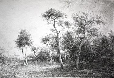 После ветра Поляков С.В.