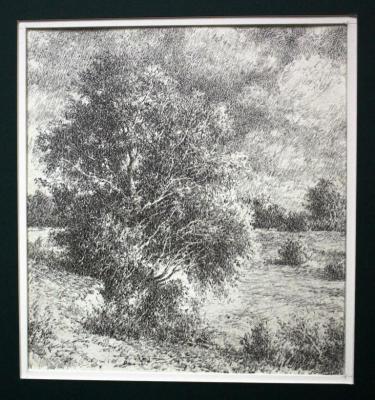 Пушистое дерево Поляков С.В.