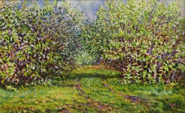 Радостный день Сайфутдинов А.