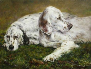 Сеттеры Чернышов М.В.