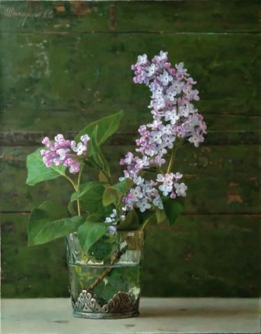 Сирень Шагидуллин Р.С.