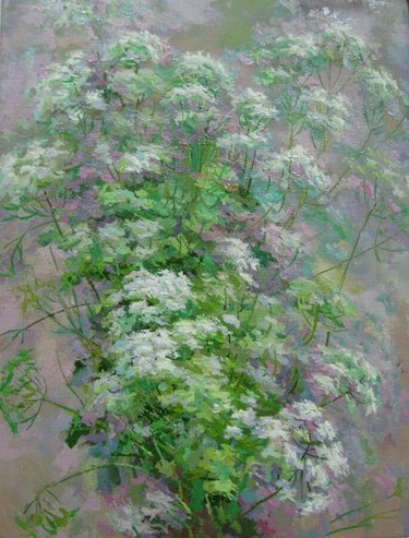 Сныть Салатов А.Ф.