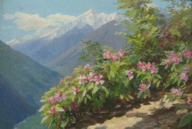 Сочи. Красная Поляна Попов В.А.