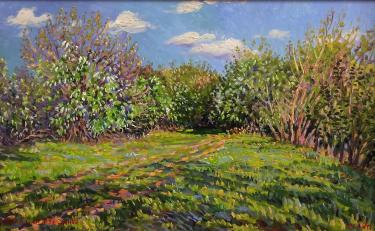 Солнечное лето Сайфутдинов А.