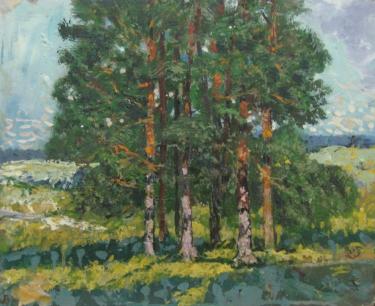 Солнечный день Индюхов Н.П.