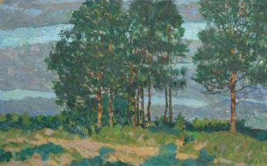 Сосны Индюхов Н.П.