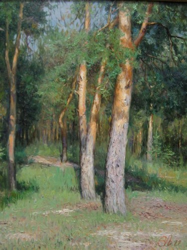 Сосны освещенные солнцем Лукиянов В.А.