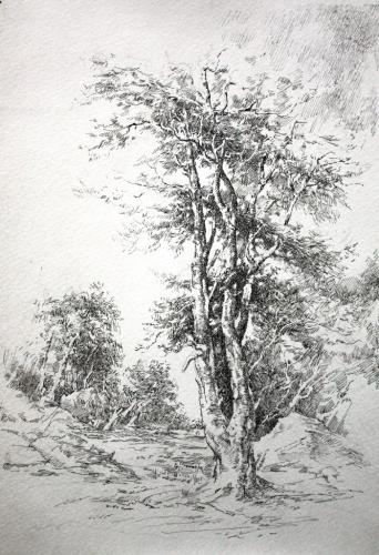 Сплетение Поляков С.В.