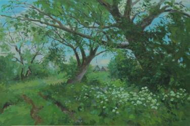 вековые ивы Яманова Р.Р.