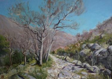 Весеннее небо Зиганшина М.А.