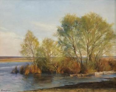 Вешние воды Шагидуллин Р.С.