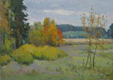 В конце Лебяжьего Родионов В.А.