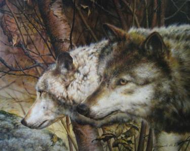 Волки Чернышов М.В.