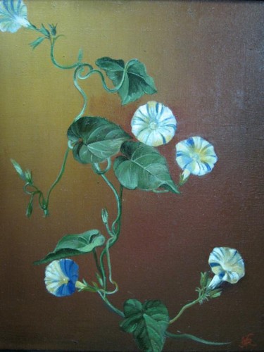 Вьюнок Жиркова М.Ф.