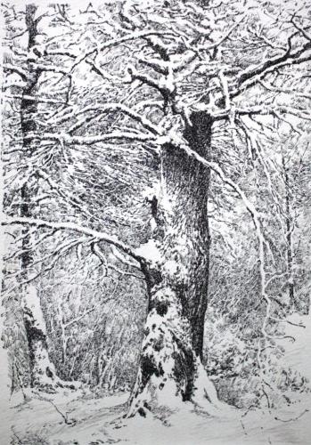 Зима. Дерево Поляков С.В.