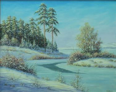 зимняя свияга Гайнуллин Ф.Р.